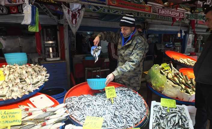 Marmara’daki hamsi bereketi balık fiyatlarını düşürdü. Balıkesir’in Bandırma ilçesinde hamsi