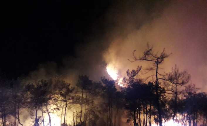 Muğla’nın Marmaris ilçesinde, akşam saatlerinde başlayan orman yangınında 10 hektar