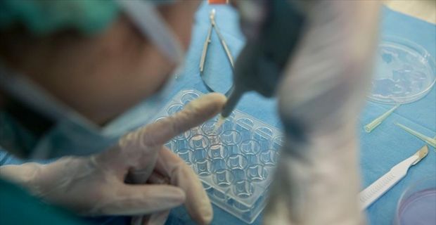 Erken menopoz sorunu yaşayan kadınlarda tüp bebek şansını artıran IVA