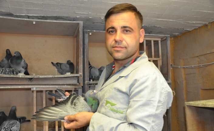 Manisa’da 5 bin 200 kilometre uçarak, 3 bin 300 güvercini