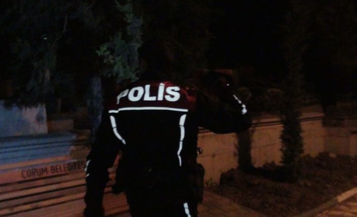 Çorum’da genç bir kızın 5 gündür geceleri mezarlığa gelerek bir