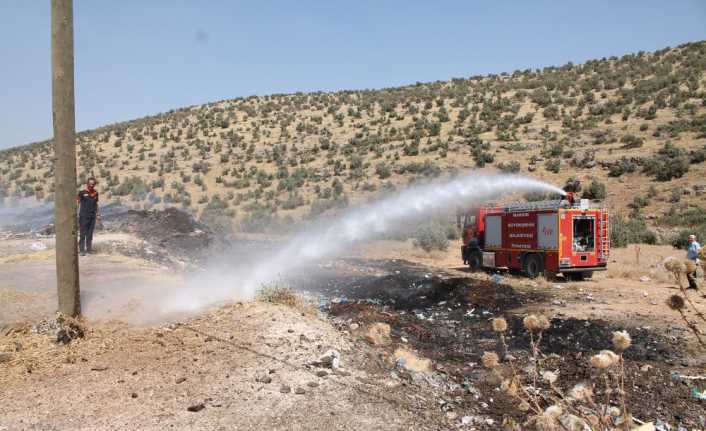 Mardin’in Midyat ilçesinde 5 köyün arasında bulunan ormanlık alanda dün