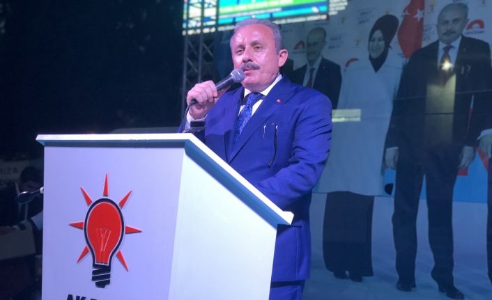 Türkiye Büyük Millet Meclisi (TBMM) Anayasa Komisyonu Başkanı Prof. Dr.