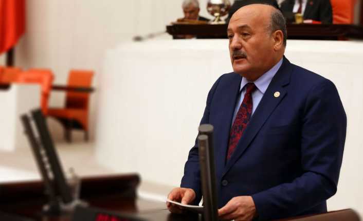 AK Parti Erzincan Milletvekili Süleyman Karaman, Türkiye Büyük Millet Meclisi