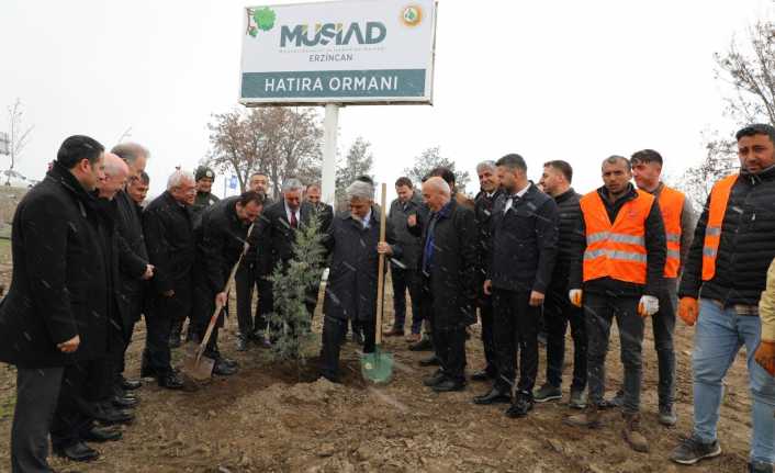 Erzincan Valisi MÜSİAD’ın Fidan Dikim Programına Katıldı