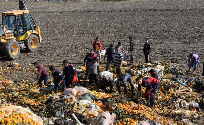 Adana’da kamyonla tarlaya dökülen narenciye posası altında kalan 15 yaşındaki