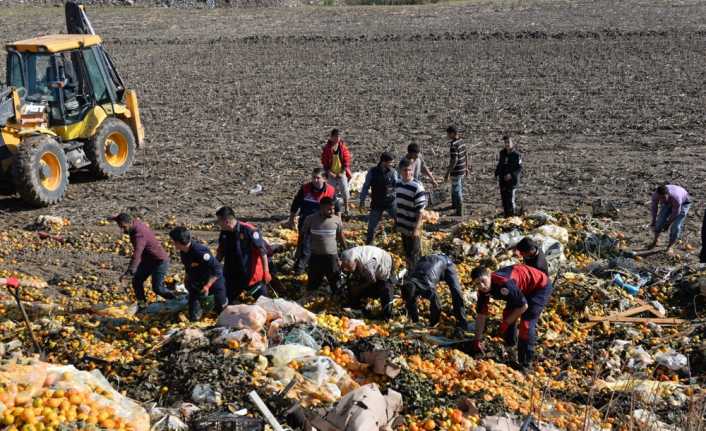 Adana’da kamyonla tarlaya dökülen