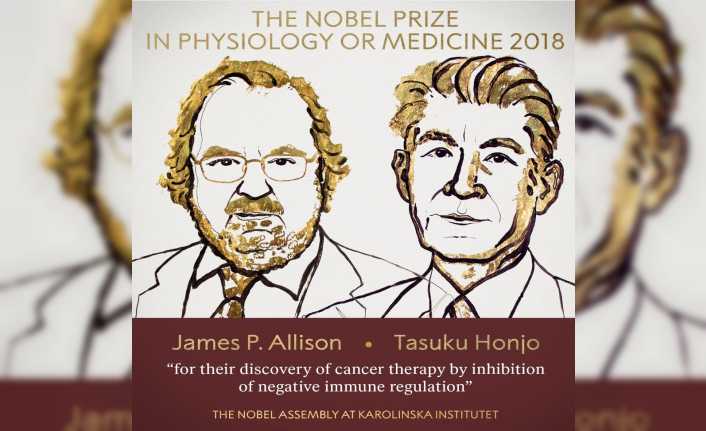 Nobel Tıp Ödülü James P. Allison ve Tasuku Honjo’ya verildi.