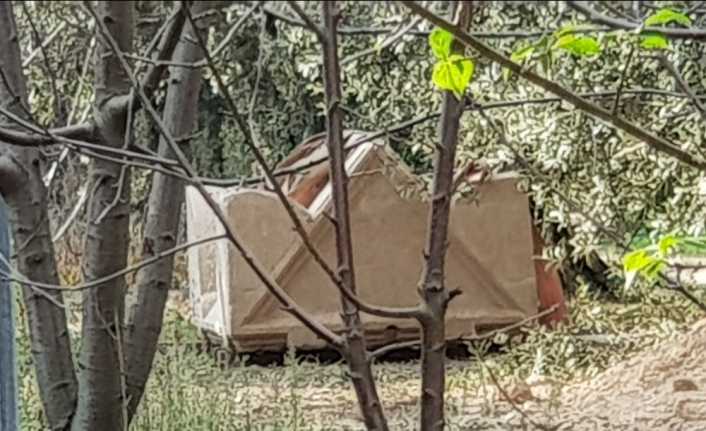 Bursa’nın İznik ilçesinde zeytin tarlasında bulunan mozaikle kaplı lahdin içerisinden