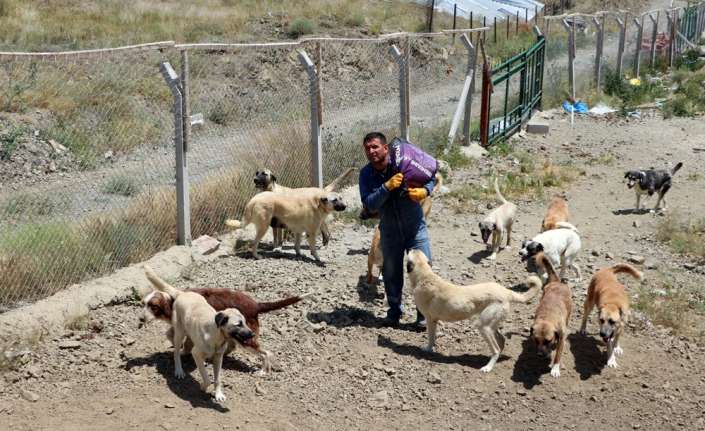 Yozgat’ta yaşayan İsmail Bolat, Sorgun ilçesinde bir arazide kendi imkanlarıyla