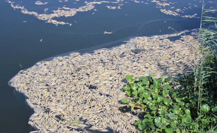 Hatay’da, Asi Nehri’nin Akdeniz’le