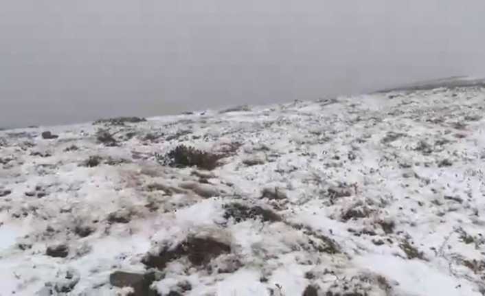Doğu Karadeniz Bölgesi’nde dün etkili olan hortum, şiddetli yağışın ardından