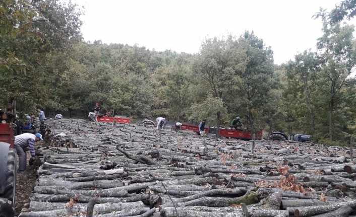 Tarım ve Orman Bakanlığı, orman köylüsüne bu yılın ilk 10