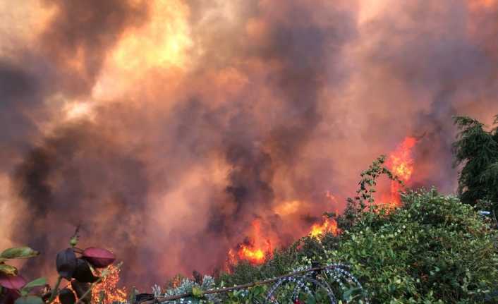 Bursa Cumhuriyet Başsavcılığı, Mudanya’daki orman yangını ile ilgili soruşturma başlattı.