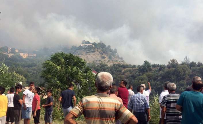 Hatay’ın Arsuz ilçesinde çıkan orman yangınını kontrol altına alma çalışmaları