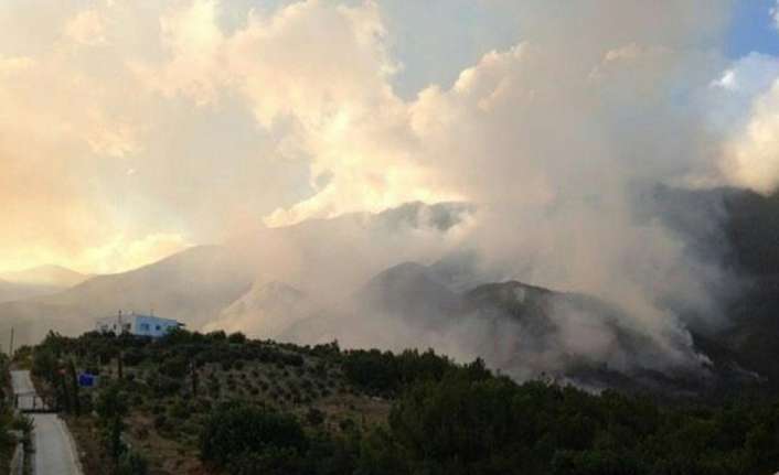 Hatay’ın Arsuz ilçesinde çıkan ve kontrol altına alınan orman yangınında