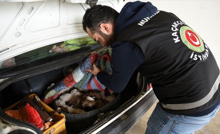 Kapıkule Sınır Kapısı'nda bir otomobilin bagajında yurda kaçak yollarla sokulmak