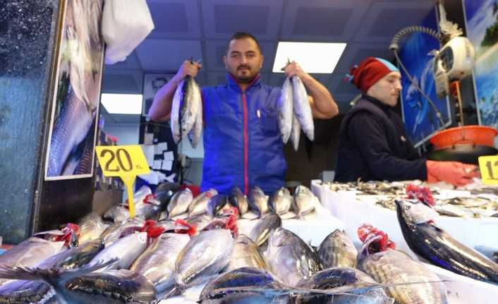 Karadeniz’de son günlerde palamut avında gözle görülür bir azalma yaşanırken,