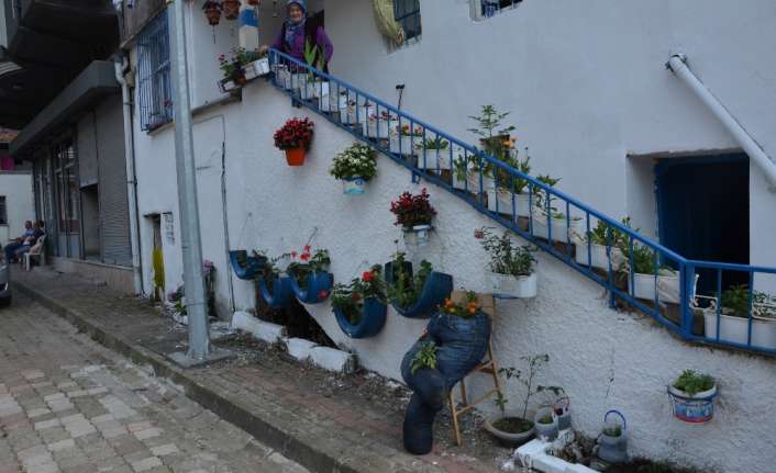 Ordu’nun Fatsa ilçesine bağlı Yalıköy Mahallesi’nde sıra dışı saksılar ve