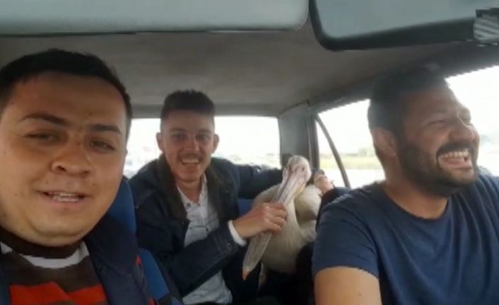 Konya’da 3 arkadaş iş çıkışı boş bir arazide buldukları yaralı