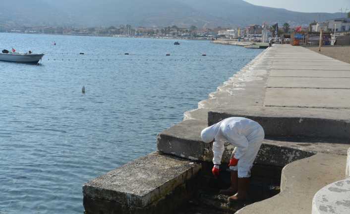 İzmir’in Foça ilçesinde denizde meydana gelen ve daha sonra yapılan