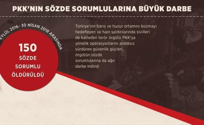 Güvenlik güçleri, son 20 ayda terör örgütü YPG/PKK'ya yönelik yurt