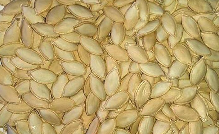 Diyetisyen ve Yaşam Koçu Tuğba Yaprak, sağlıklı atıştırmalık olan kabak
