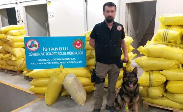 Ticaret Bakanlığı Gümrük Muhafaza ekiplerince İstanbul’da gerçekleştirilen operasyonda sarımsak tozu