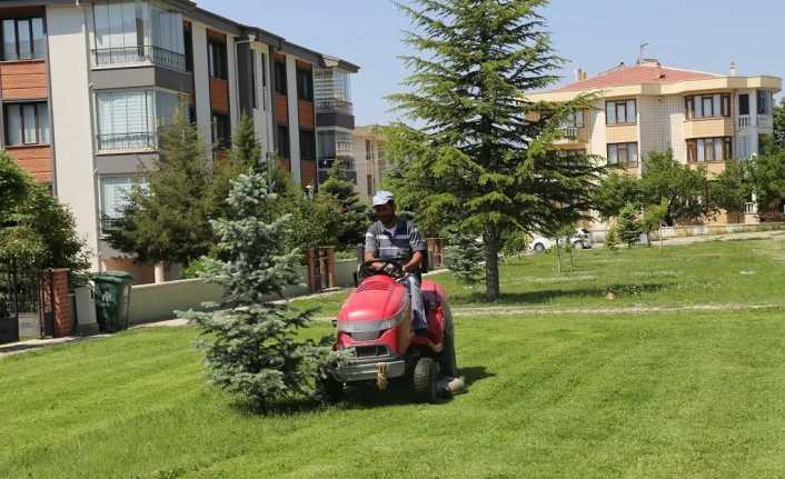 Erzincan Belediyesi yabani ot temizliği ve çim biçme çalışmalarını şehir