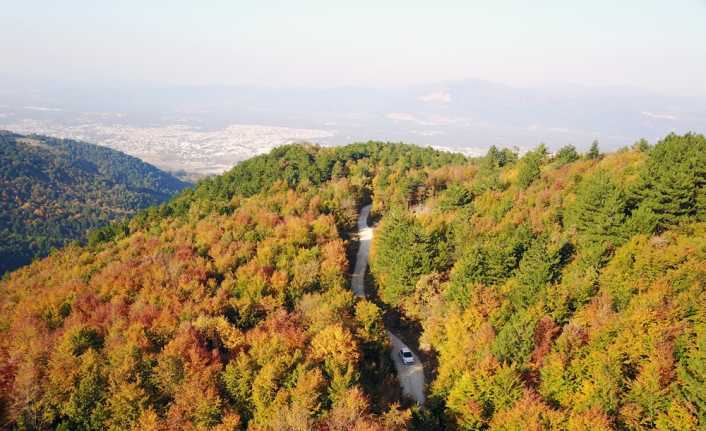 Bursa’nın Yıldırım ilçesinde 80