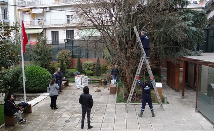 Atatürk'ün babası Ali Rıza Efendi'nin diktiği, Türkiye'nin Selanik Başkonsolosluğu bahçesinde