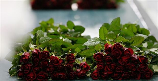 Sevgililer Günü'nün vazgeçilmezi kırmızı gülde bu yıl üretimin yüksek olması