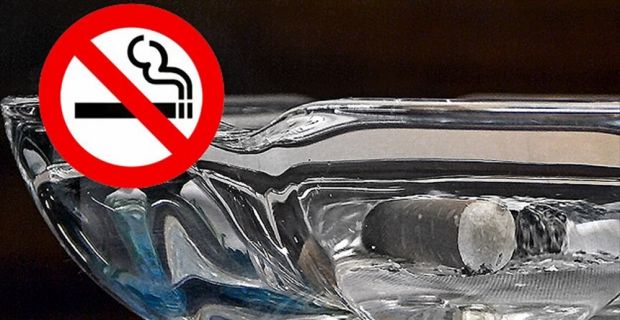 Bazı yiyeceklerin tüketilmesiyle sigaranın zararlarının azaltılamayacağı, zarardan kurtulmanın tek yolunun