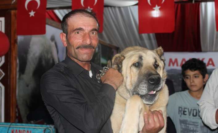 Sivas’ın yöresel lezzetlerinin ve tarihi değerlerinin tanıtıldığı bu yıl 9’uncusu