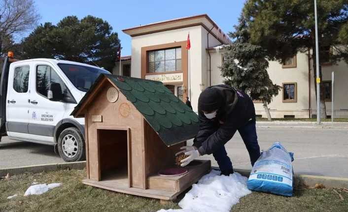 Sokak Hayvanları Soğuk Havalarda da Unutulmadı Erzincan Belediyesi aşırı soğuklar nedeniyle yiyecek bulmakta zorlanan sokak hayvanlarını