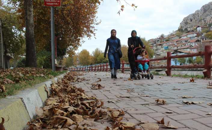 Tokat’ın Turhal ilçesinde sonbahar mevsiminde doğal görüntünün kaybolmaması için Belediye