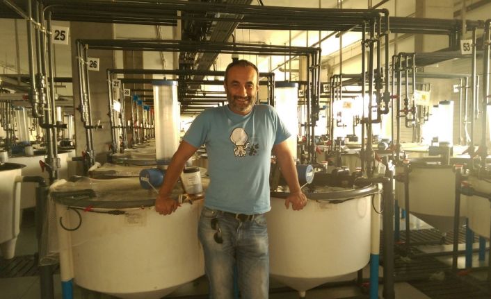Akdeniz Üniversitesi Su Ürünleri Fakültesinde görevli Öğretim Görevlisi Dr. Türker