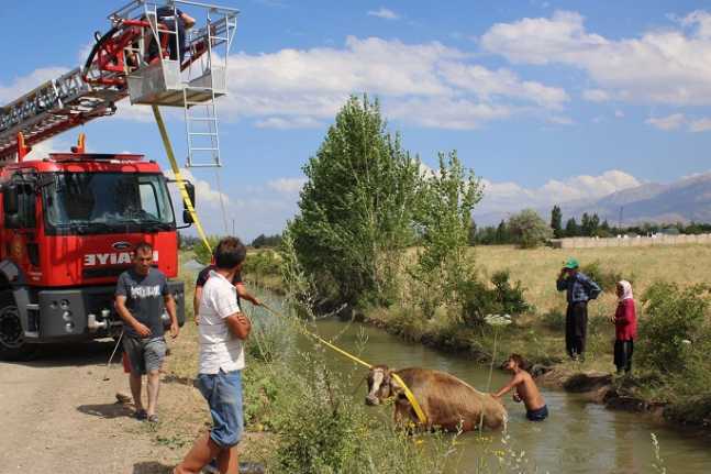 
Erzincan’da sulama kanalına düşen inek, itfaiye ekipleri tarafından İtfaiyenin merdivenine