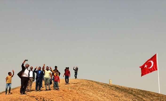 Şanlıurfa'nın Akçakale ilçesinde, belediye tarafından Suriye sınırına yakın bölgeye dikilen