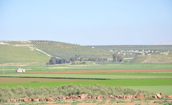 Cilvegözü’nden sonra Hatay’dan Suriye’ye açılacak ikinci gümrük kapısı "Zeytin Dalı"