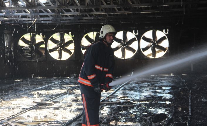 Elazığ’da bir tavuk çiftliğinde çıkan yangında 22 bin civciv telef