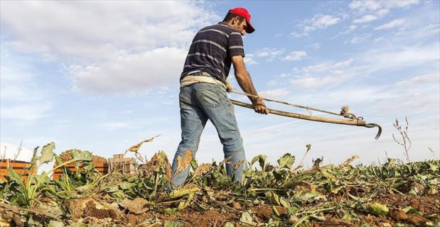 Tarımsal desteklemeler için 2017'de yapılacak ödemelerde değişikliğe gidildi.