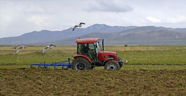 İlçe bazlı kuraklık verim sigortasıyla, kuru tarım alanlarında yetiştirilen buğdayın