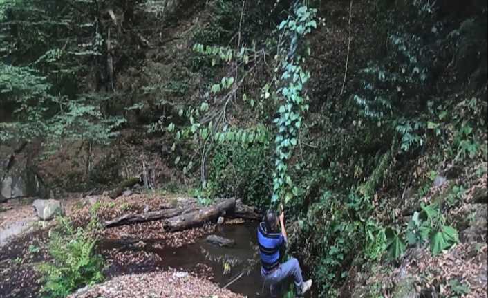 Zonguldak’ın Ereğli ilçesinde bulunan Kayalıdere Şelaleleri’ne ailesi ile birlikte gezmeye
