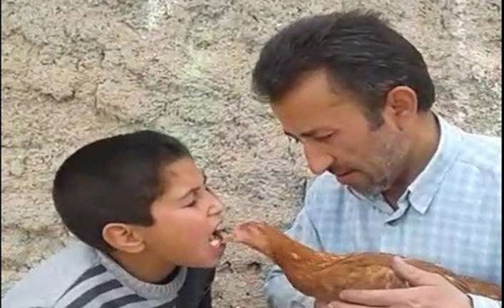 Kayseri’de ağzına aldığı yem ile tavuğu besleyen küçük Emirhan’ın görüntüsü