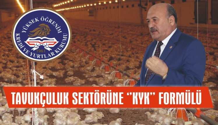 Erzincan’da tavuk yetiştiricilerinin sorunlarını