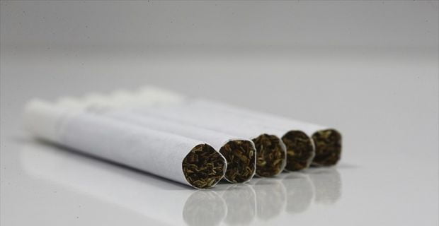 DSÖ Türkiye Ofisi Program Yöneticisi Ergüder, "Yapılan çalışmalar, 'tek tip