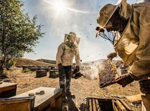 Kuzeydoğu Anadolu Kalkınma Ajansı’nın