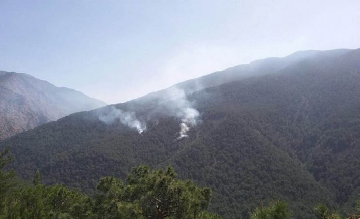 Hatay’ın Arsuz ilçesi kırsalında düzenlenen hava destekli operasyon sırasında teröristlerce