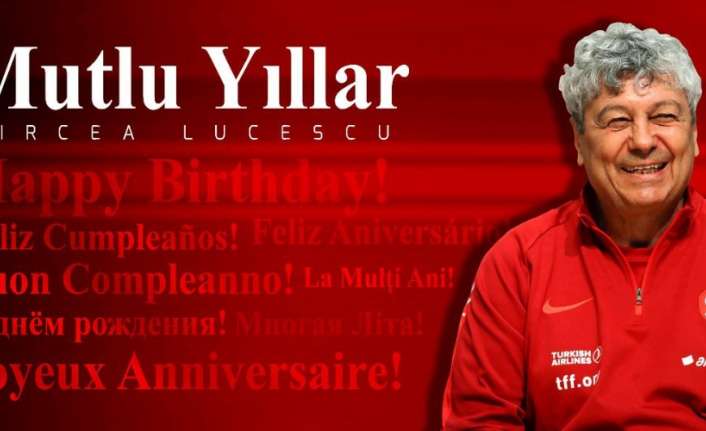 Türkiye Futbol Federasyonu (TFF), A Milli Futbol Takımı Teknik Direktörü